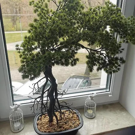 Nadmorskie Tarasy - D213 Z Garazem Lägenhet Kołobrzeg