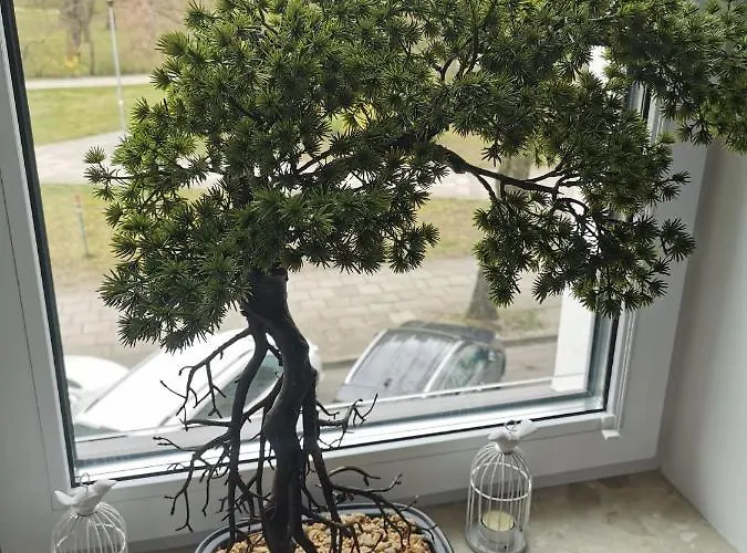 Nadmorskie Tarasy - D213 Z Garazem Апартаменты Колобжег