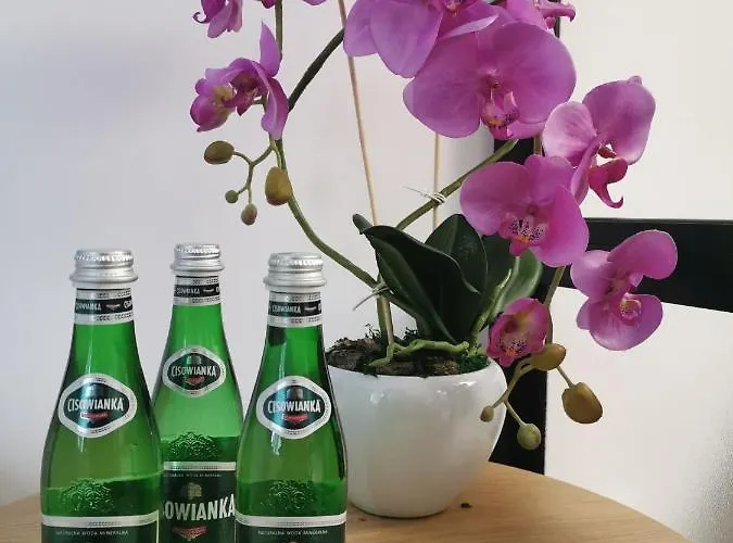 Nadmorskie Tarasy - D213 Z Garażem